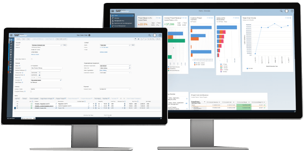 SAP Business By Design - Vestrics Solutions