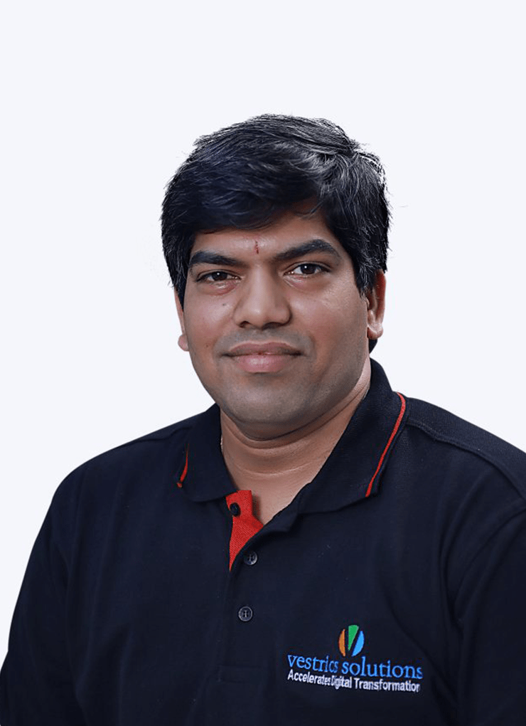 Vamsi Krishna - Vestrics Solutions