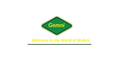 gemni - logo - Vestrics Solutions