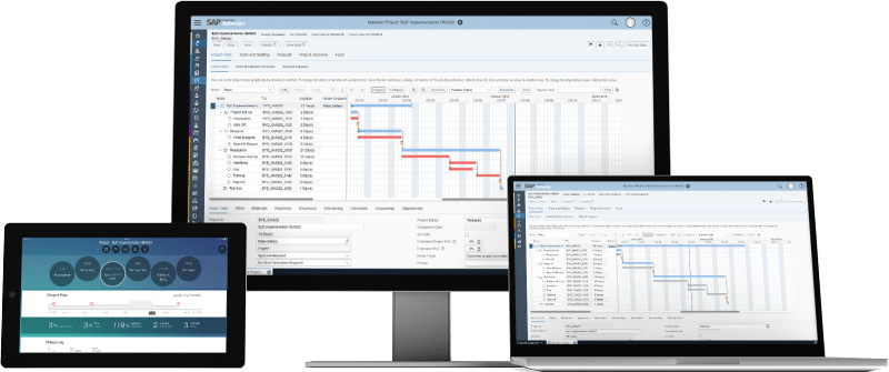 SAP Business By Design - Vestrics Solutions
