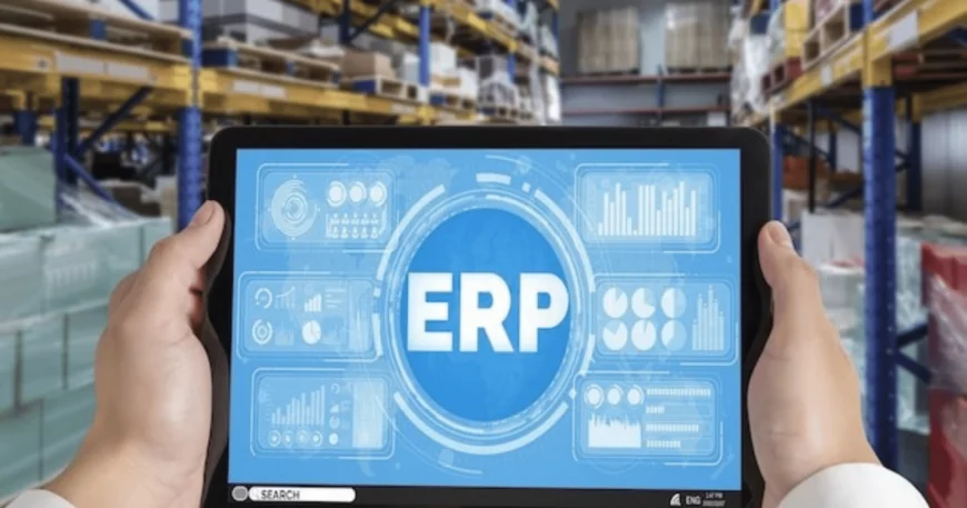 Pain Points for Companies During ERP Implementations