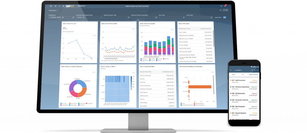 SAP Business One - Vestrics Solutions